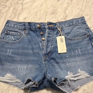 Z Supply Light Blue Distressed Jean Shorts